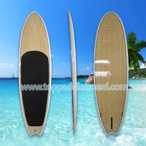 Online Exporter Customized Inflatable Surfboard - WindSurfing Board WS-02 – Top Surfing