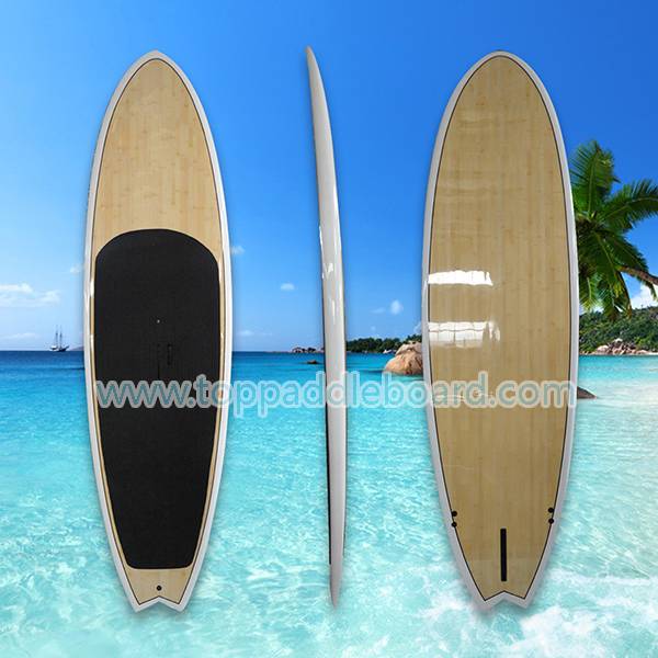 Top Suppliers Motorized Surfboards - WindSurfing Board WS-02 – Top Surfing