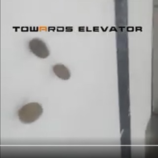 TOWARDS ELEVATOR : COIN TEST