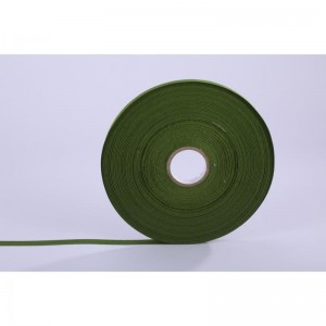 Duurzame niet-elastische geweven band voor thuistextiel TR-NW9