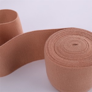 Polyester Nylon Spandex customized adjustable elastic webbing TR-SJ5