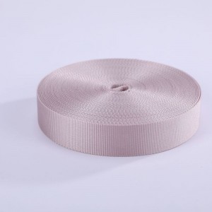 Customized Non-elastic Nylon Webbing Tape Para sa Garment TR-NW3