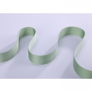 Sustainable Non-elastic Polyester Webbing Tape For Bag TR-NW4