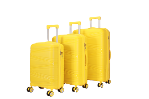 Double Wheels Multiple Color Pp 3pcs Set Luggage