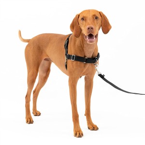 Arnés de nailon personalizado para cans sen tirar para a seguridade das mascotas