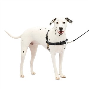Imbracatura per cani in nylon persunalizatu No Pull Easy Walk per a sicurità di l'animali