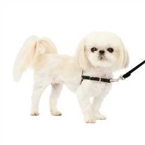 Custom Ora Narik Gampang Walk Nylon Dog Harness kanggo Pet Safety