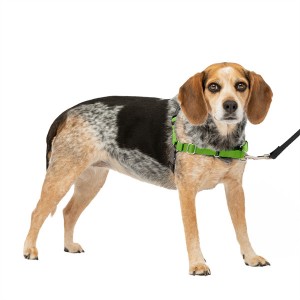 Arnês de nylon personalizado sem puxão fácil para cães para segurança de animais de estimação