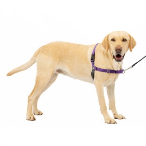 Custom No Pull Securus Walk Nylon Dog Iunge Pet Safety