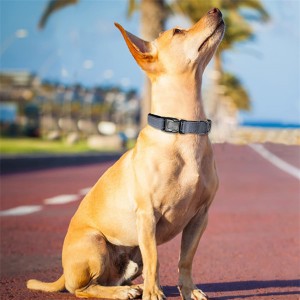 Prilagođena mekana neoprenska podstavljena prozračna najlonska reflektirajuća ogrlica za pse