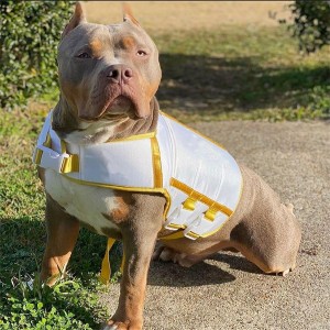 Dog Anxiety Vest Thundershirt tare da Warming da Cooling Packs
