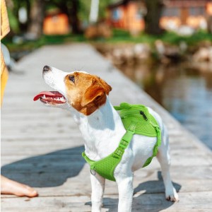 Akukho-Tsalo I-Pet Harness Vest eneSaddle Bag I-Pet Backpack Dog Backpack