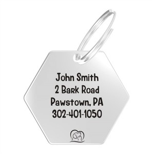Customized Front & Back Pet Name Stainless Steel Dog Name Tags