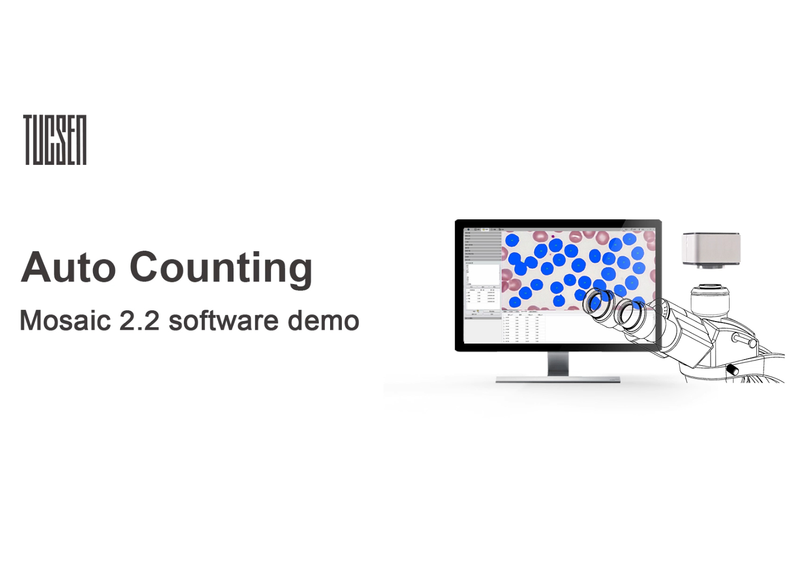 Automatic Counting
