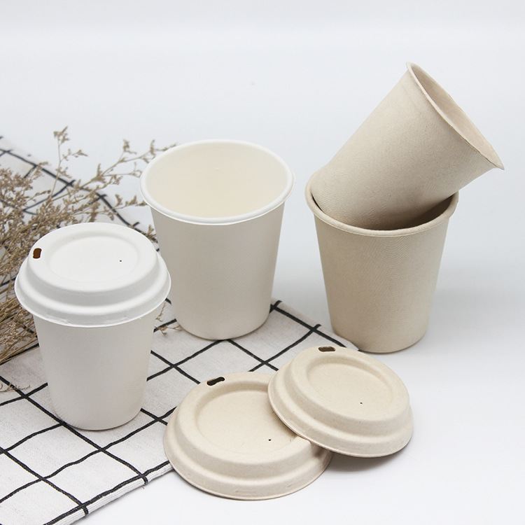 Biodegradable Paper Coffee Cups Wholesale | Tuobo Featured Image