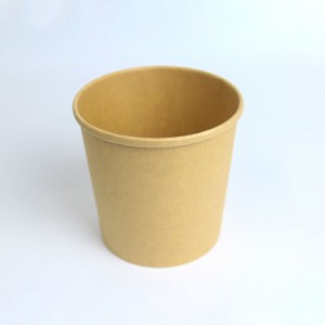 Biodegradable Ice Cream Cups Custom | Tuobo