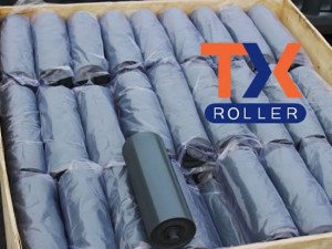 Carry Roller, Return Roller, Esportatu à Filippine In March 2016