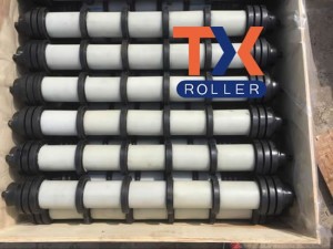 Rubber Disc Return Roller, eksportearre nei Maleizje yn juny 2016