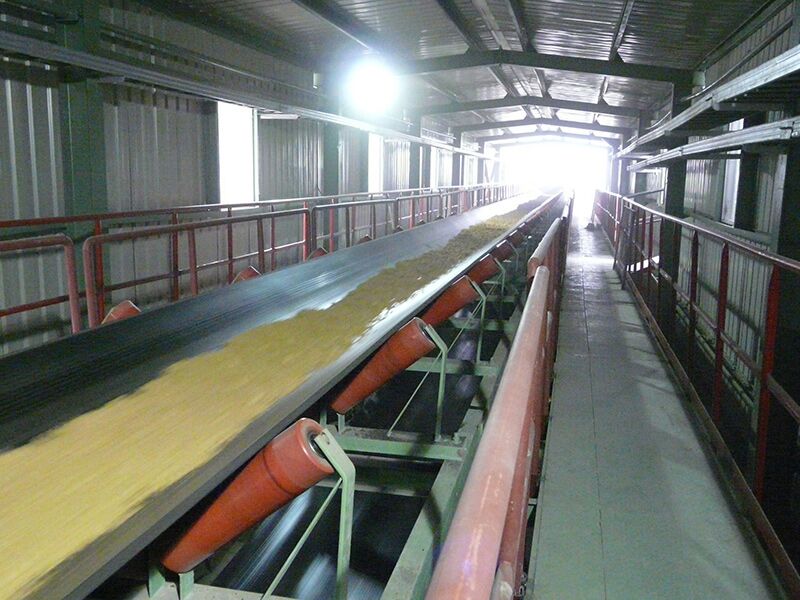 Conveyor System Check, Maintenance