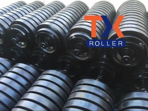 Carrier Rollers Thiab Imapct Rollers, Exported rau Singapore Thaum Lub Yim Hli 2016