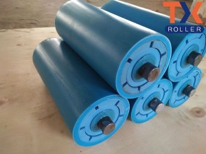 Top Suppliers Guide Rollers For Garage Doors - HDPE Roller – TongXiang