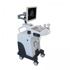 Carrinho DW-350 sistema de diagnóstico por ultrassom preto e branco