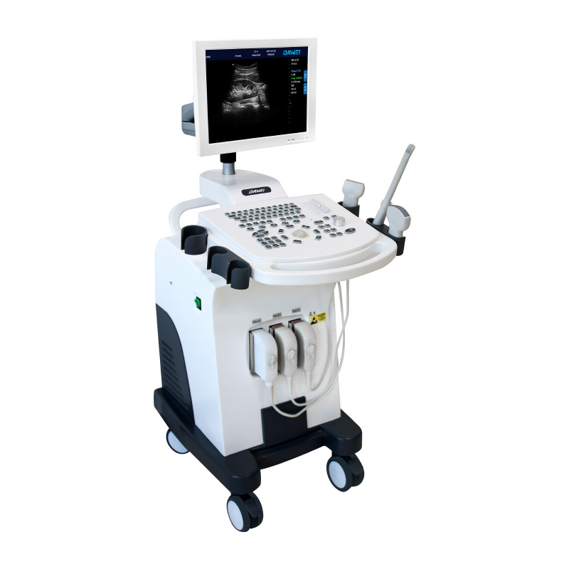 sistema diagnostico ad ultrasuoni completamente digitale in bianco e nero