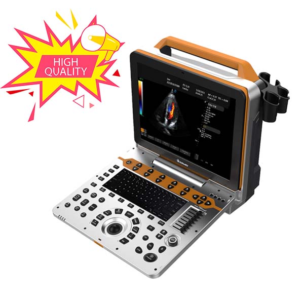 DW-P60 (P8Lite) La migliore macchina portatile per scanner a ultrasuoni cardiaco per uso medico (macchina Echo) Immagine in primo piano