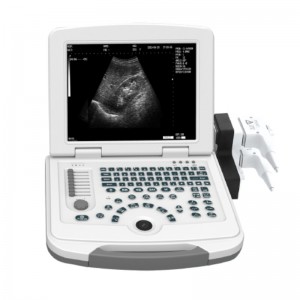 DW-500 black and white ultrasound imaging