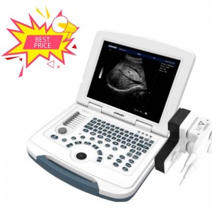 hot sell DW-580 black and white ultrasound machine price