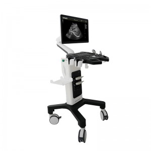 Sistem pengimbas ultrasound perubatan doppler warna troli DW-F3