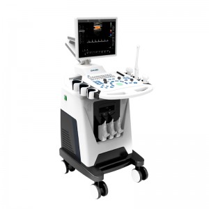 System medycznego ultrasonografu dopplerowskiego z kolorowym dopplerem DW-F3