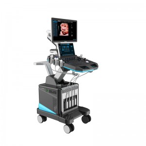 Cheap price Usb Ultrasound - DW-T50(T5PRO) medical color doppler ultrasound scan machine – Dawei