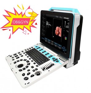 DW-P30 sistem diagnosis ultrasound mudah alih doppler warna 4D/5D terbaik
