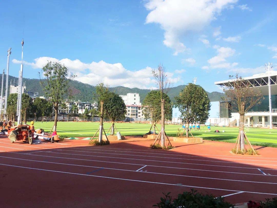 Yunnan Xinping Sports Forest Park Football Field Lighting Project