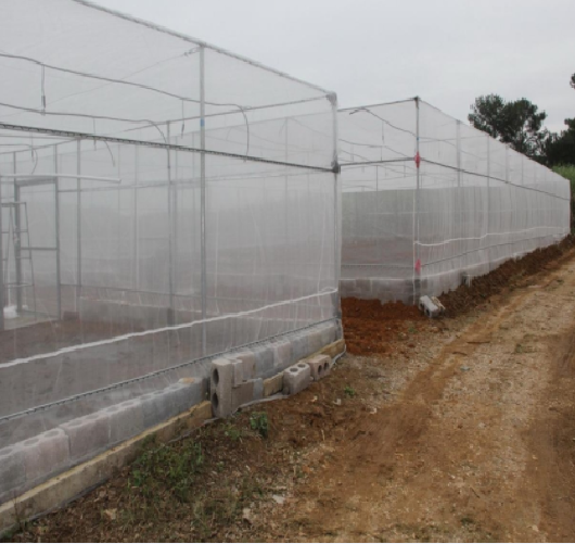 Agricultural Plastic Anti Aphid Insect Netting