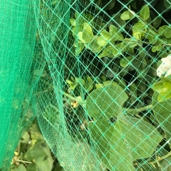 Plastic Garden Anti Bird Netting With Diamond Mesh