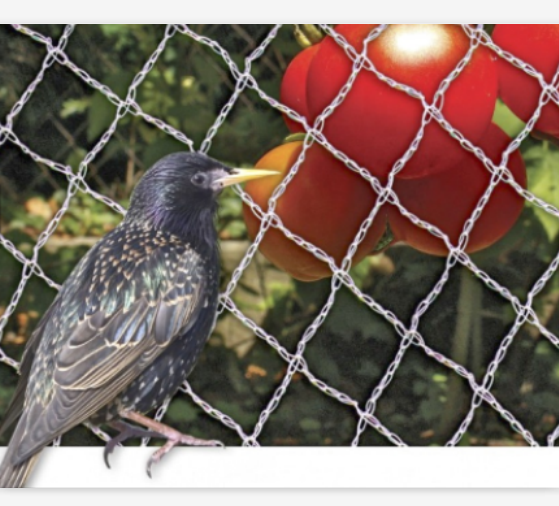 Filet anti-oiseaux en maille plastique résistant aux UV