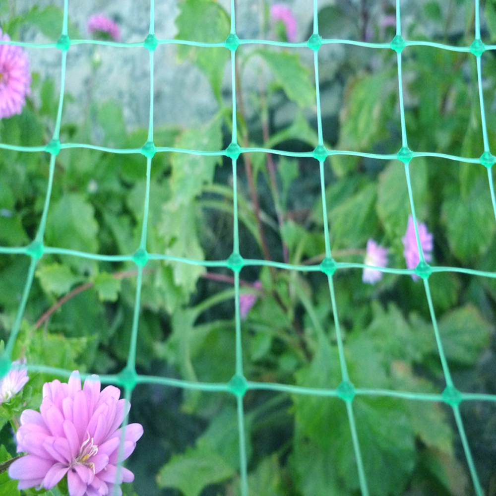 Extruded Plastic Mesh  Agriculture Garden Netting Featured Image