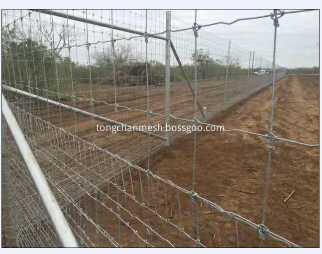 Metal Steel Wire Woven Cow Farm And Ranch Mesh Netting