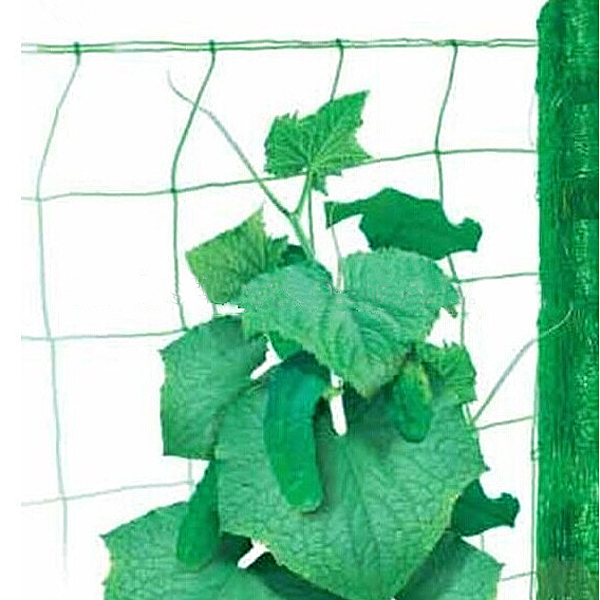 Climbing Plant Support Netting