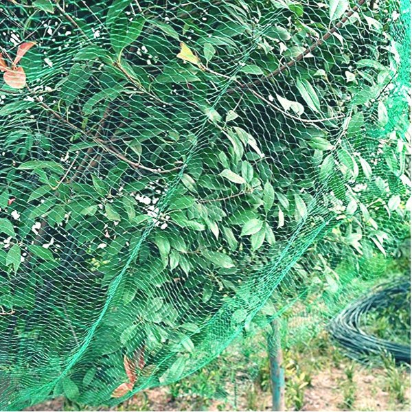 Extruded Plastic Mesh  Agriculture Garden Netting