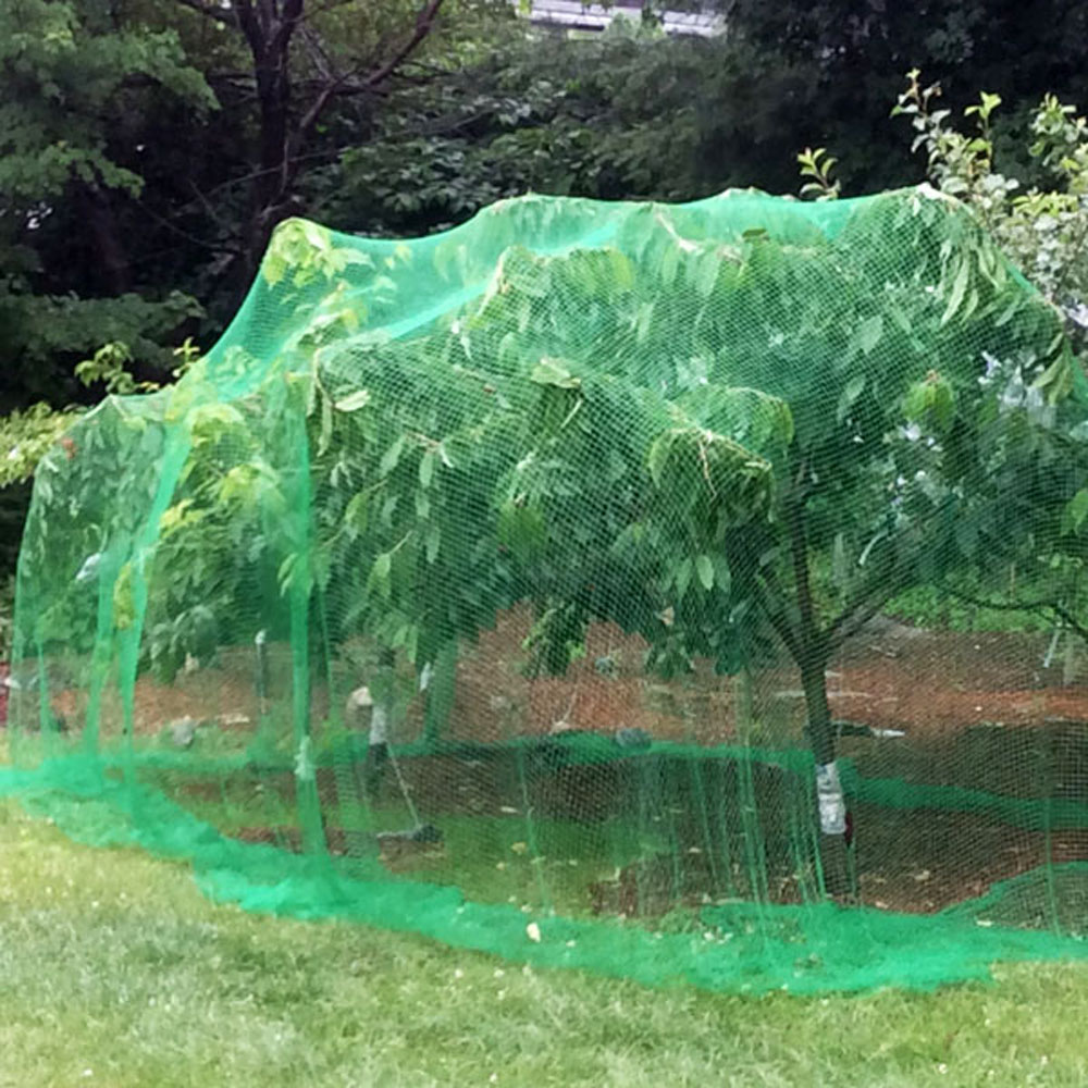 Πλαστικό προστατευτικό δίχτυ για οπωροφόρα δέντρα κατά των πτηνών