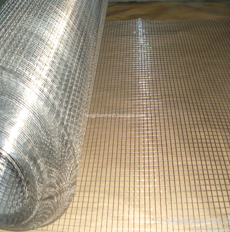 Hot Dip Galvanized Welded Wire Netting