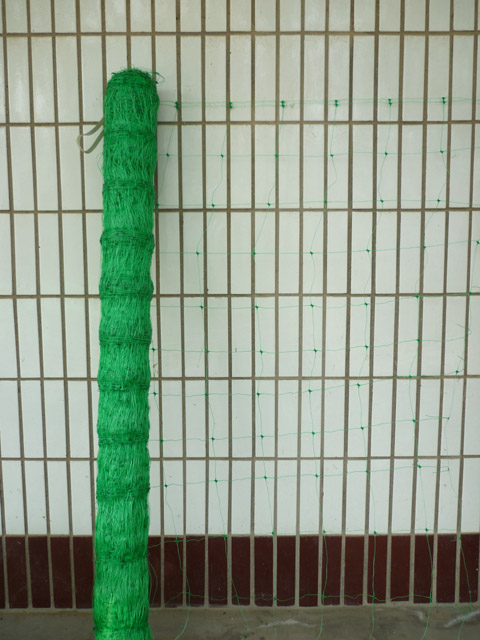 Plastic Plant Support Net for Cucumber And Pea