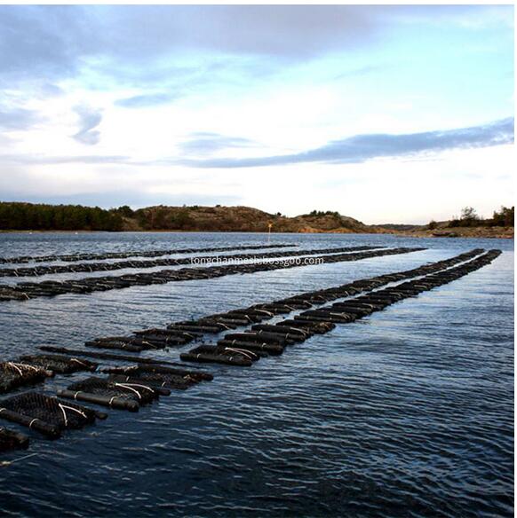 Túi lồng lưới kim cương Oyster bằng nhựa nuôi trồng thủy sản