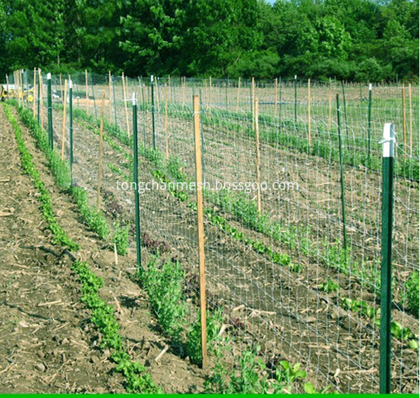 Мрежа за поддршка на растенијата за решетката за земјоделство за пластична фарма