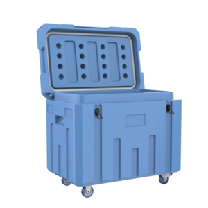 Professional China China Sida Sdb-E250 Dry Ice Storage Insulation Box with Capacity 240kg