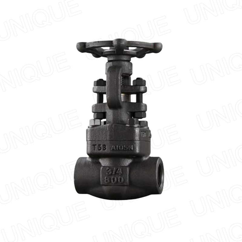 OEM Best Forged Valve Factory –  API602 Gate Valve,Carbon steel,Stainless steel,Duplex Steel, Alloy steel,Bronze,A105N,304,316,F51,F55,LF2,F91,Monel,C95800,B62,CS,SS – UNIQUE detail pictures