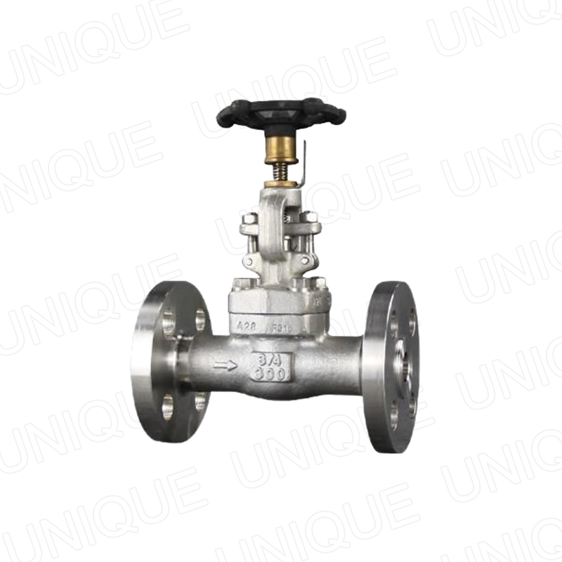 China High Quality Gate Valve Sw Manufacturer –  F304 Gate Valve,Carbon steel,Stainless steel,Duplex Steel, Alloy steel,Bronze,A105N,304,316,F51,F55,LF2,F91,Monel,C95800,B62,CS,SS – UNIQUE Featured Image